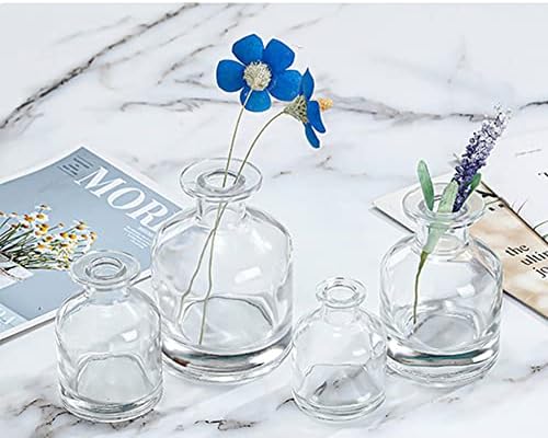 150ml Clear Glass Diffuser Jar with Frosted Top