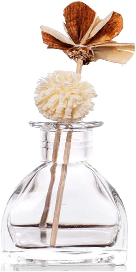 Clear Glass Diffuser Refill Bottle for Aromatherapy