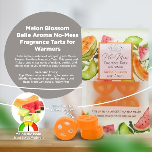 No-Mess Fragrance Tarts - 6 Mini Melon Blossom Scented Resin Wax Melts