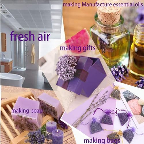Natural Dried Lavender Buds 200g for Candles and Sachets