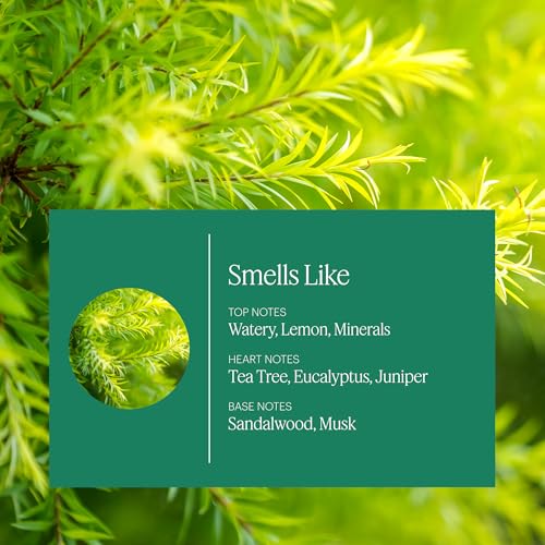 Aera Home Scent Refill - Tea Tree Juniper Sage Essential Oil
