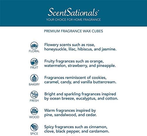 Scentsationals Coconut Vacay Fragrant Melts 25oz