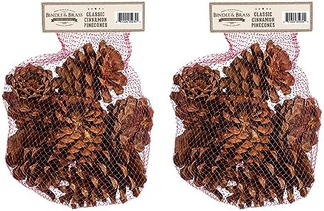 Cinnamon Scented Pinecone Bags 2 Pack