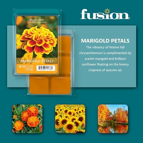 FUSION Scented Wax Melts - Marigold Petals 3-Pack