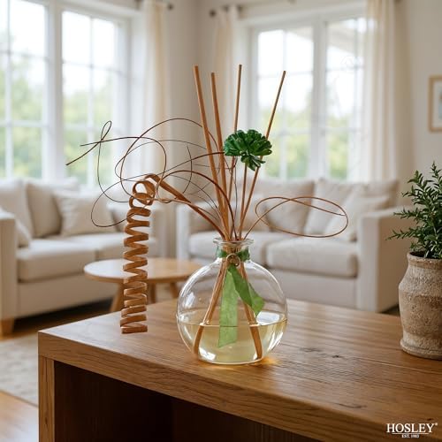 Hosley 4-Piece Glass Diffuser Set with Reeds