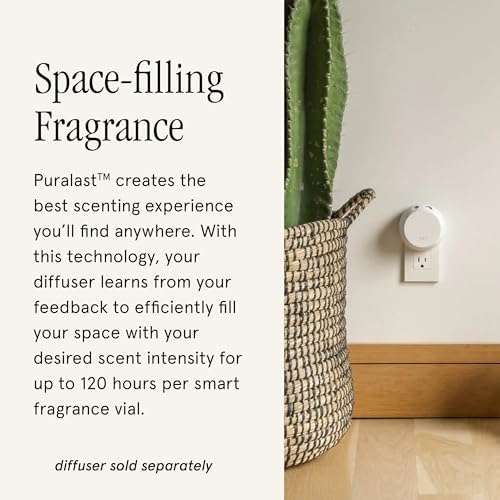 Pura Aromatique Home Scent Refill - 2 Pack Sparkling Currant