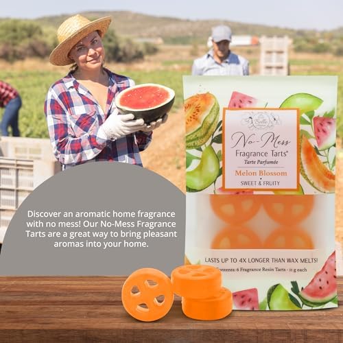 No-Mess Fragrance Tarts - 6 Mini Melon Blossom Scented Resin Wax Melts