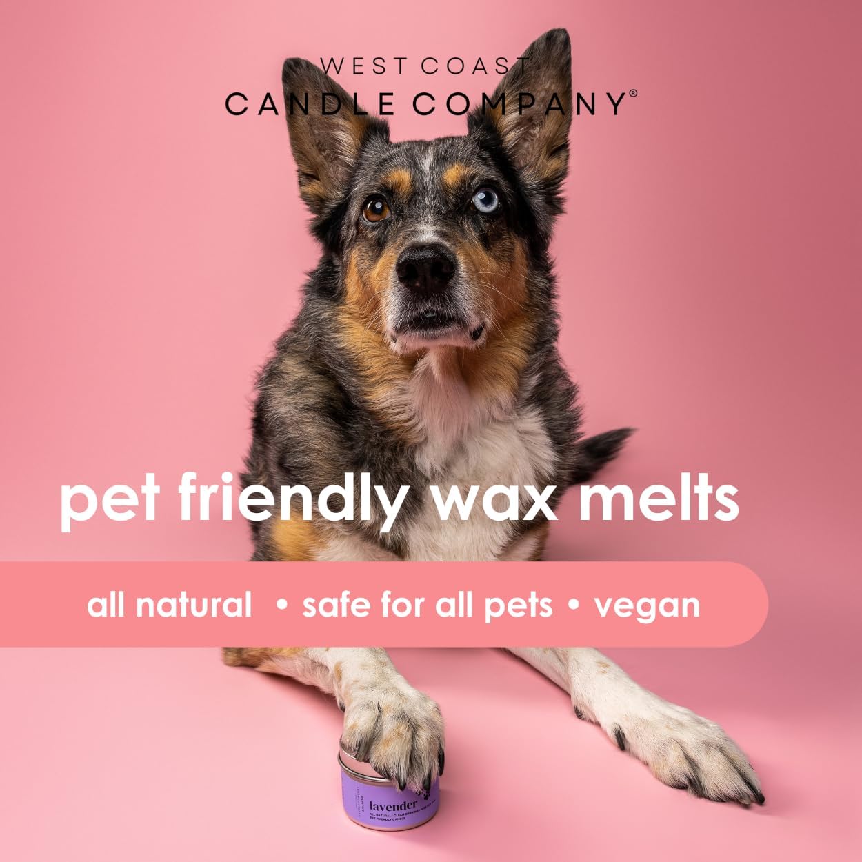 Linen Breeze Pet Safe Soy Wax Melts