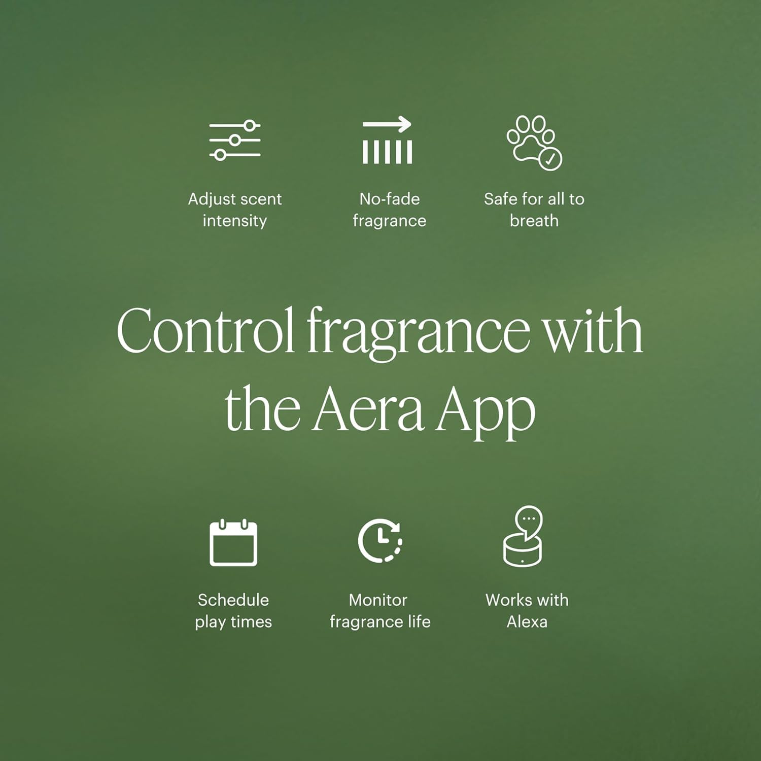 Aera Home Scent Refill - Tea Tree Juniper Sage Essential Oil