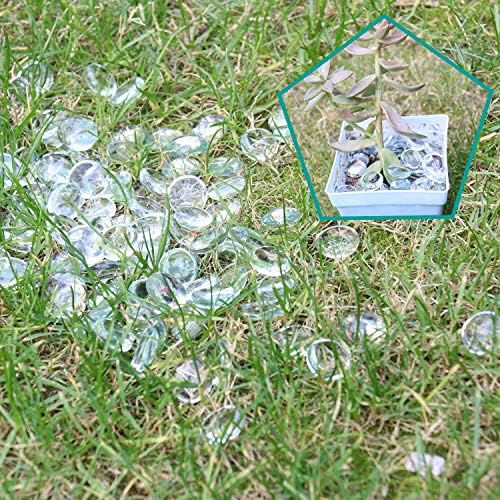 Clear Glass Marbles for Vases 5 LB Decorative Stones