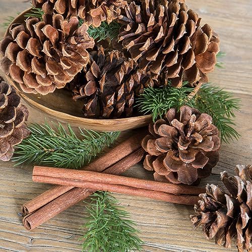 Cinnamon Scented Pinecone Bags 2 Pack