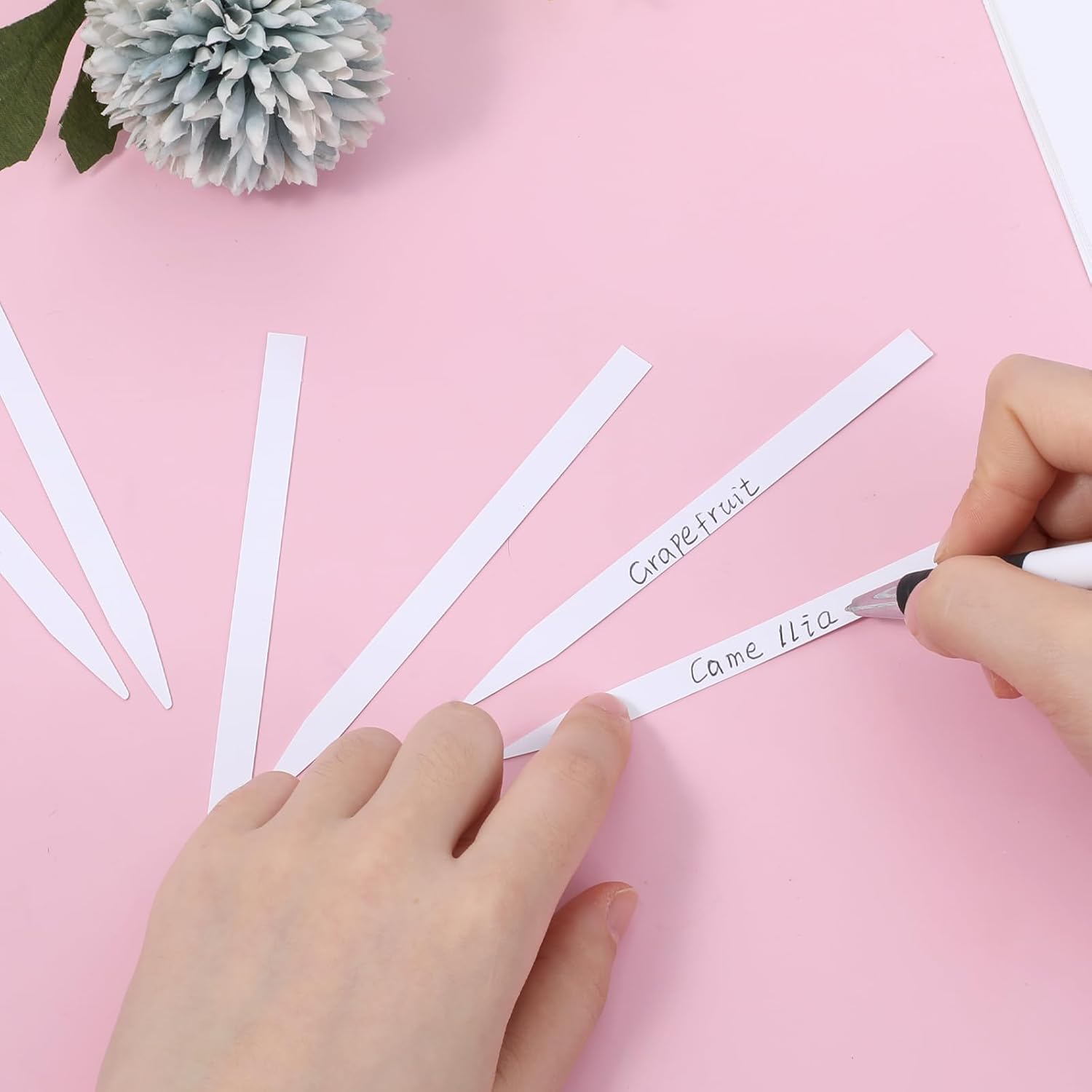 1000 Piece Perfume Test Strips White Blotter for Fragrances and Essential Oils