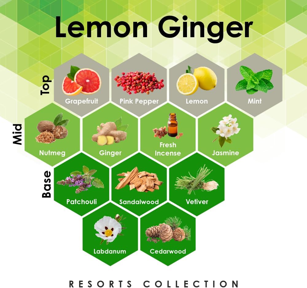 Lemon Ginger 4 oz Refill for Oil Diffuser with Natural Scents