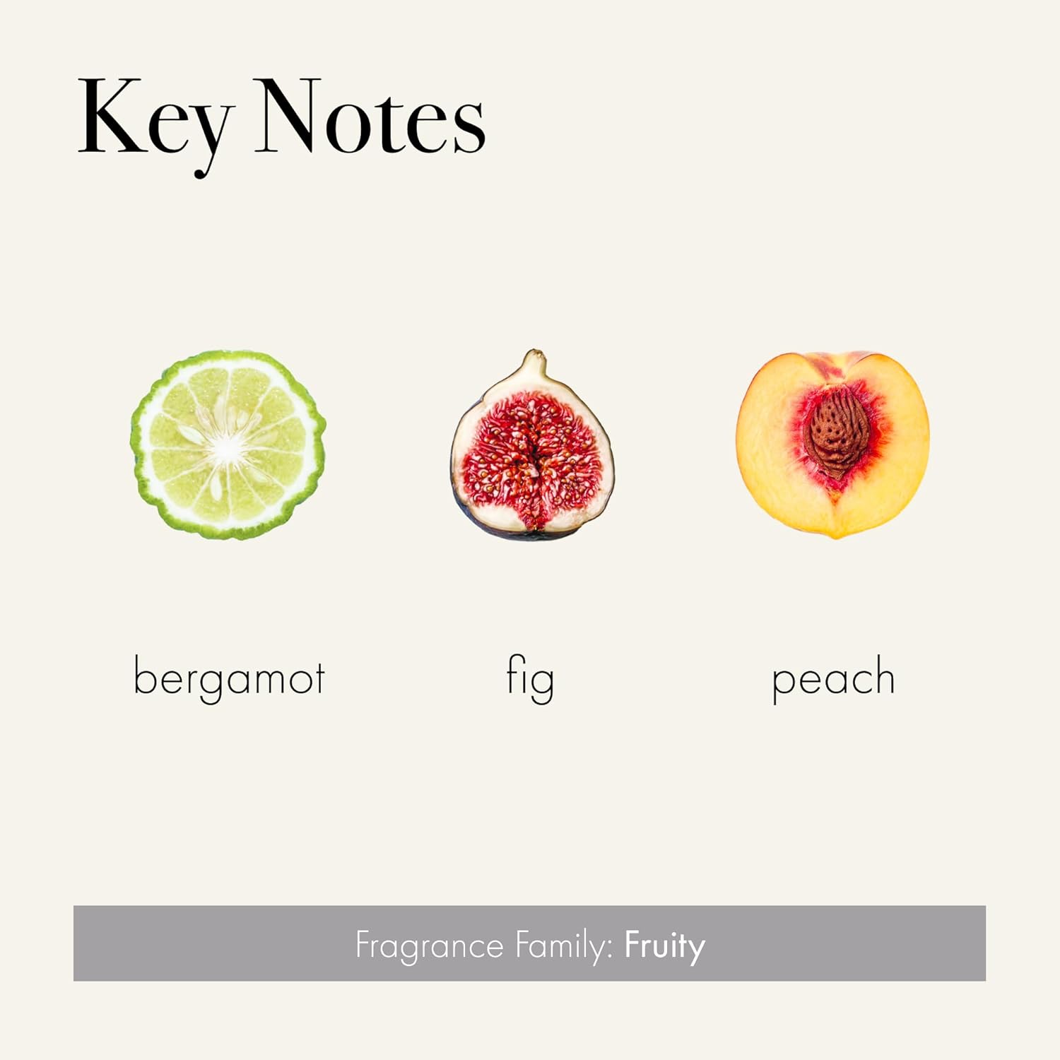 LAFCO New York Pura Smart Refill - Paradiso Fig