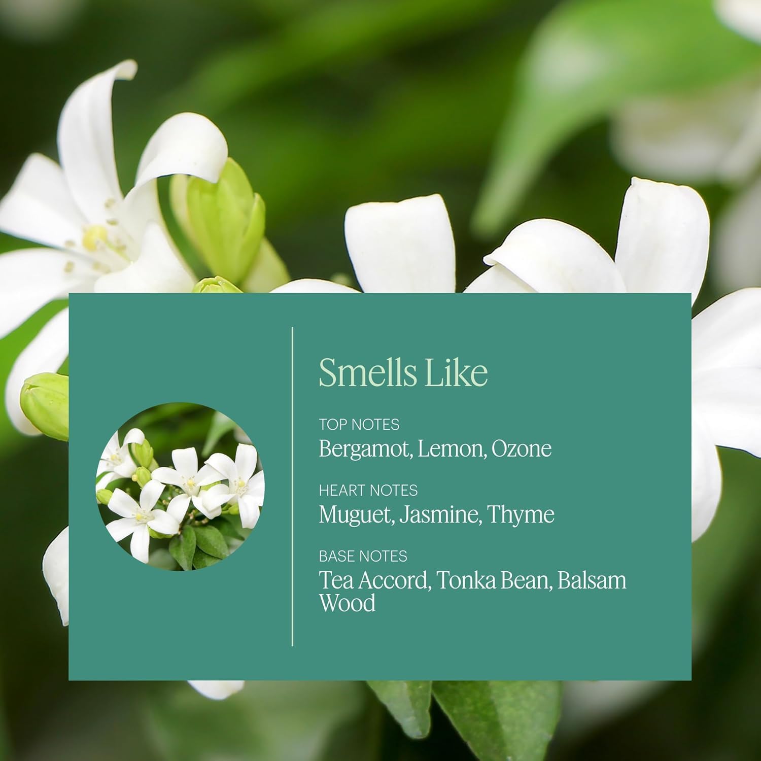 Aera Home Fragrance Sample Sprayer Set