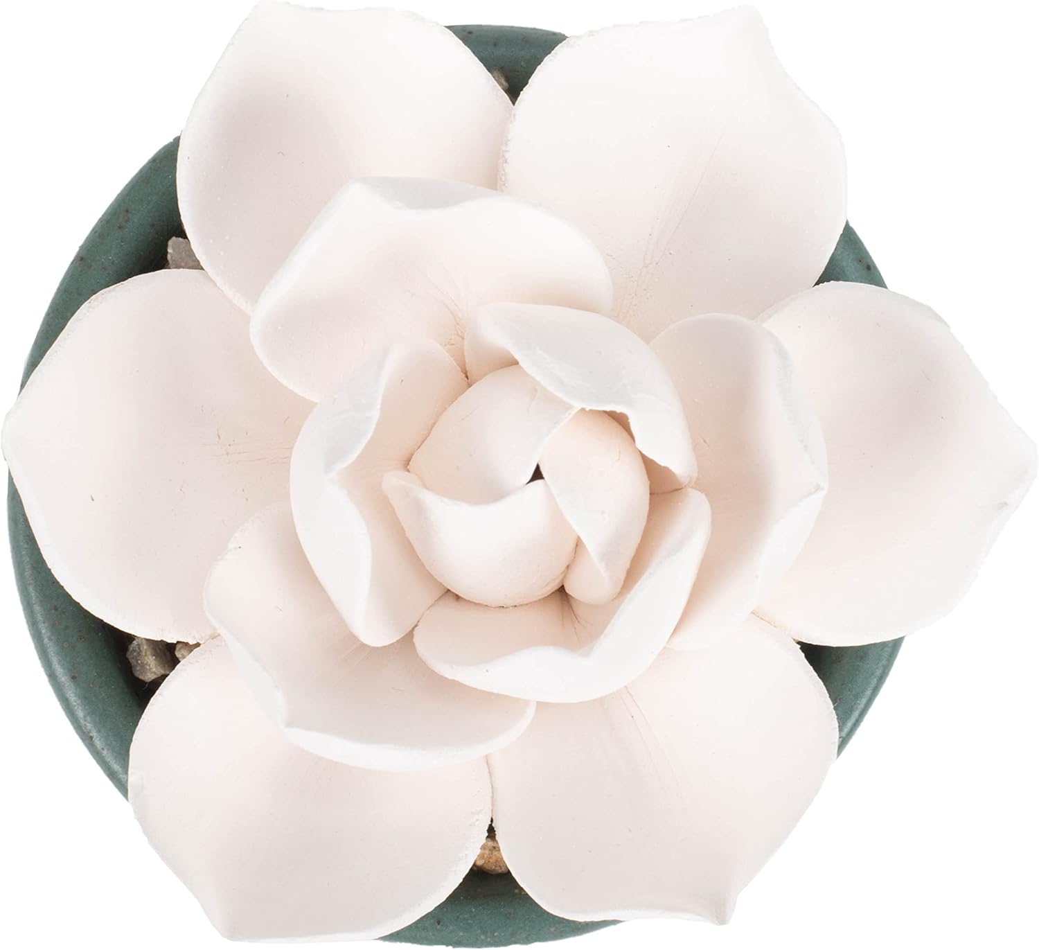 Demdaco Inhale Hope Exhale Worries Succulent Oil Diffuser