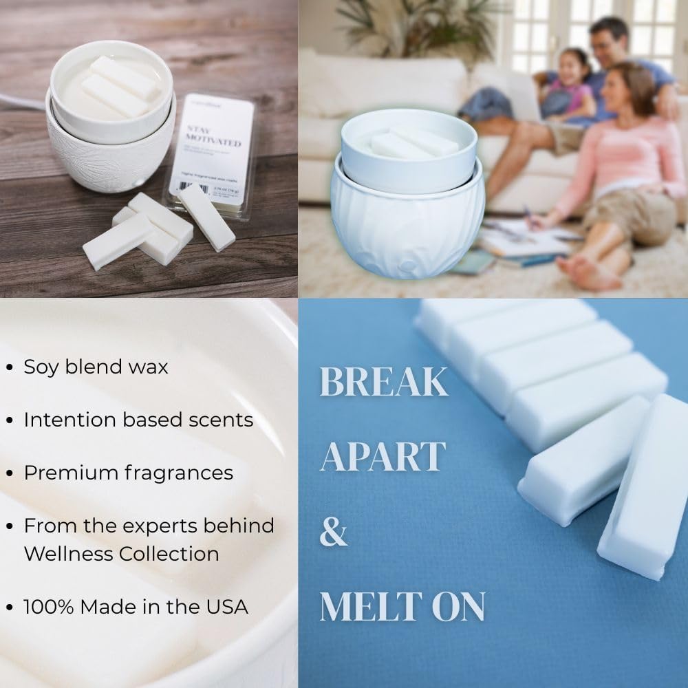 CAROLINA Daily Ritual Scented Wax Melts 4 Pack