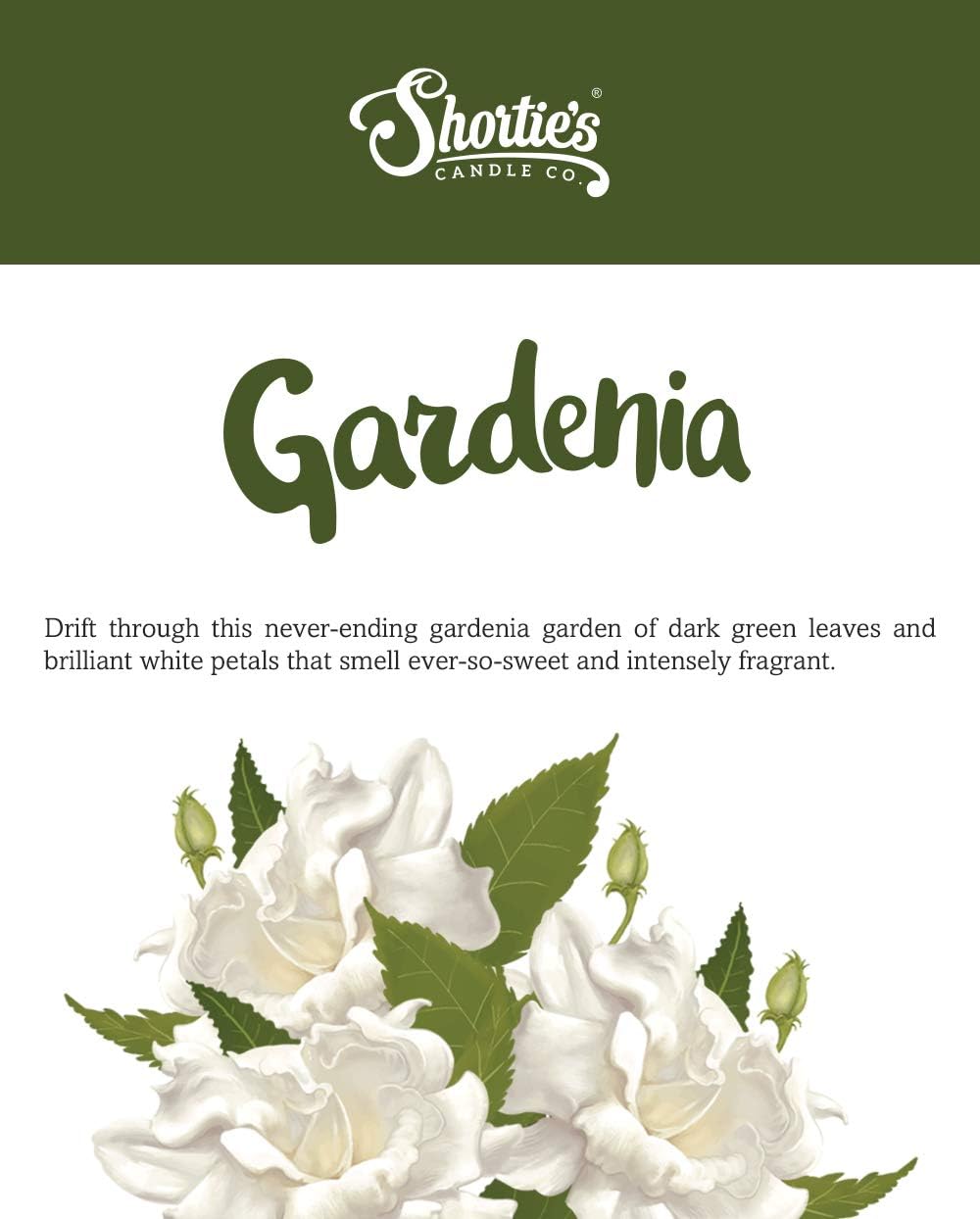 Shorties Candle Company Gardenia Soy Wax Melts 3 Pack
