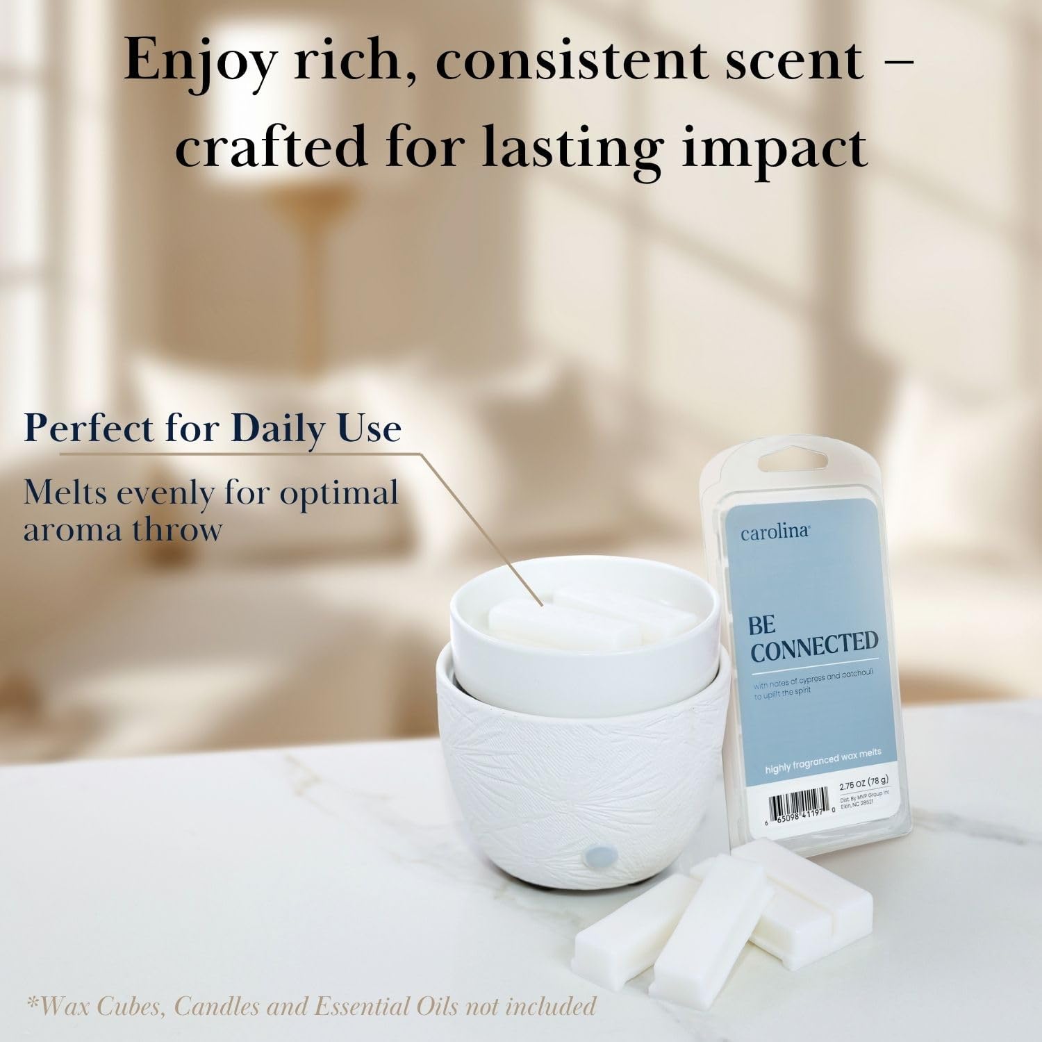 CAROLINA 3-in-1 Electric Wax Melter with Ceramic Dish