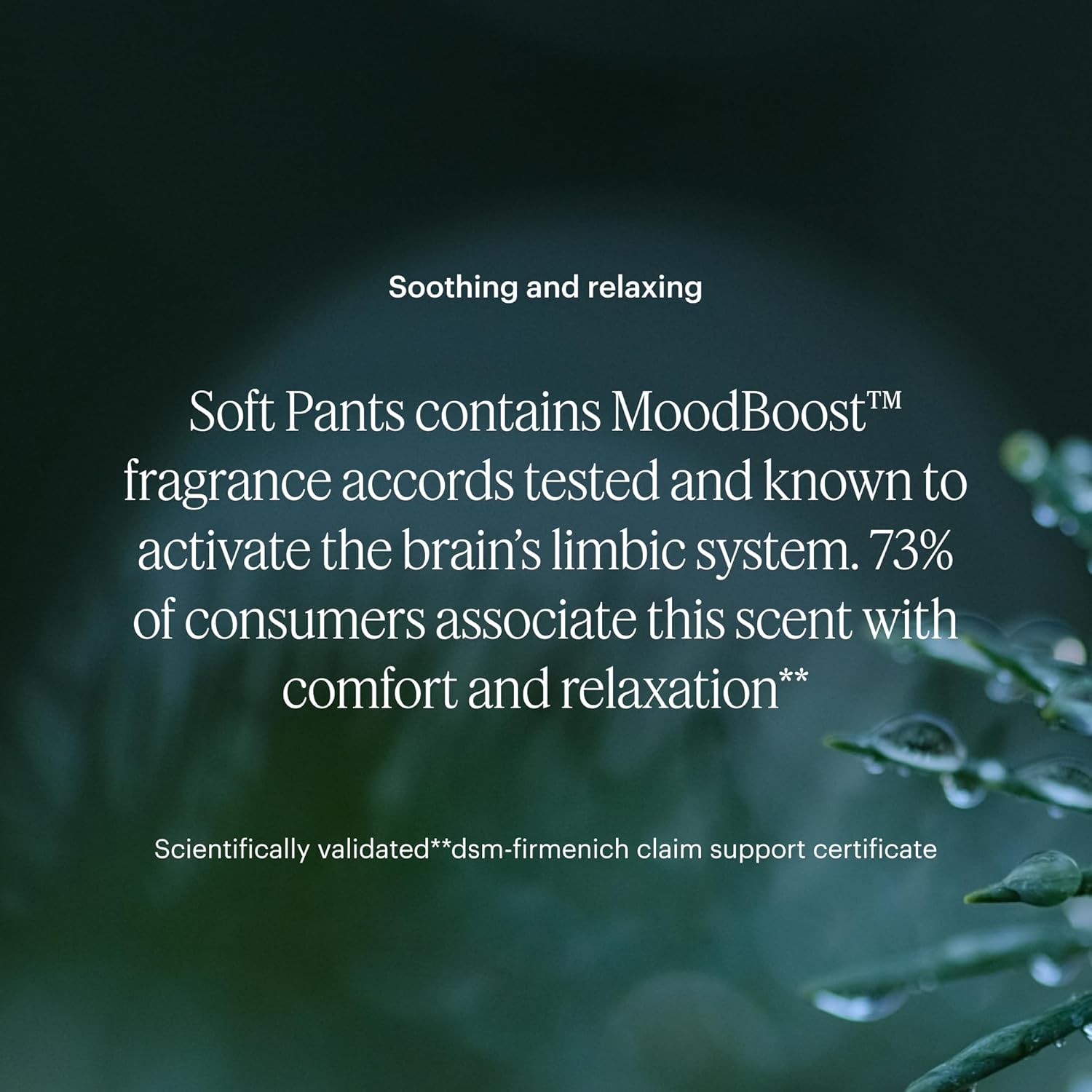 Aera Mini Soft Pants - Warm Vanilla Sandalwood Scent Refill