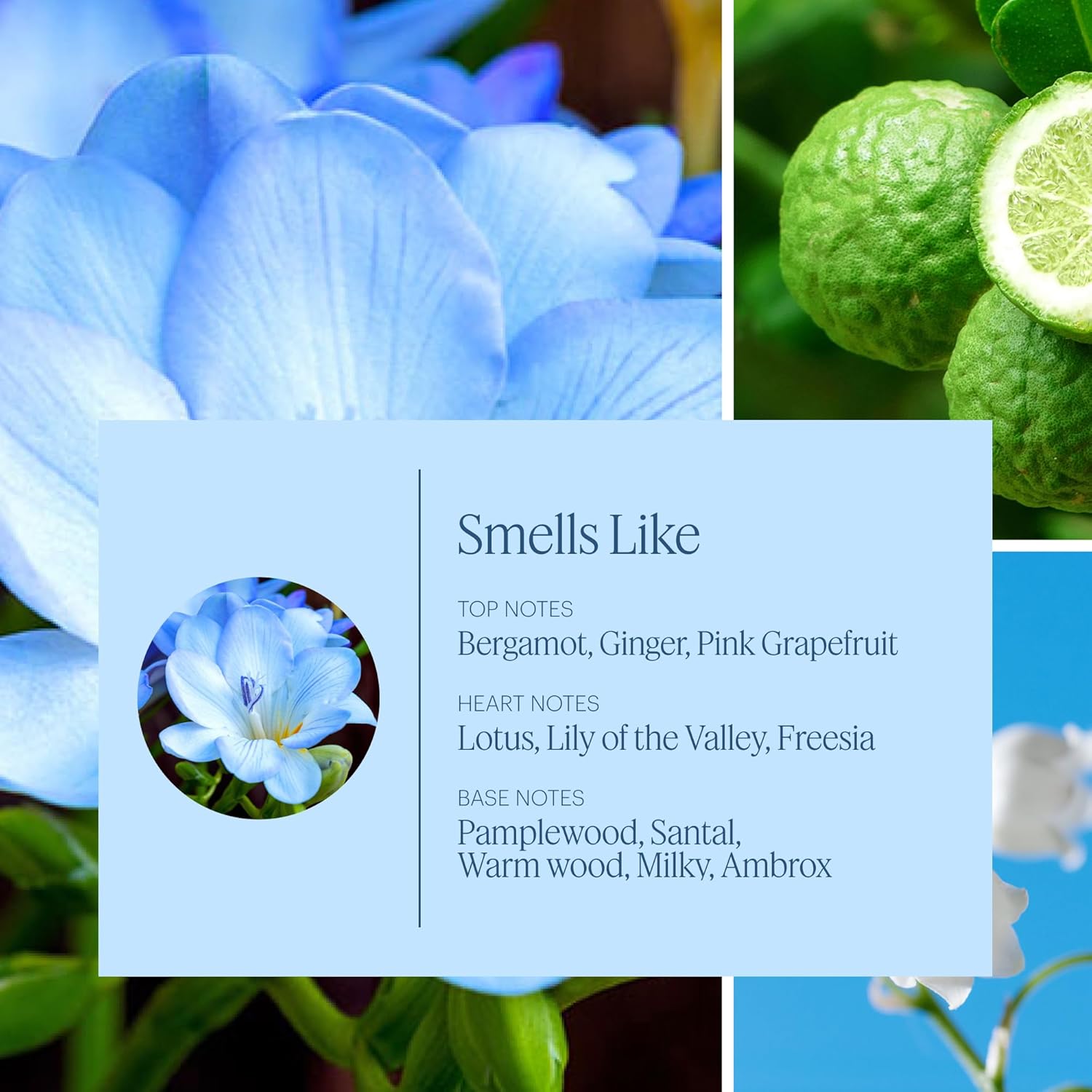 Aera Wild Bluebells Scent Refill - Soft Florals and Fresh Air