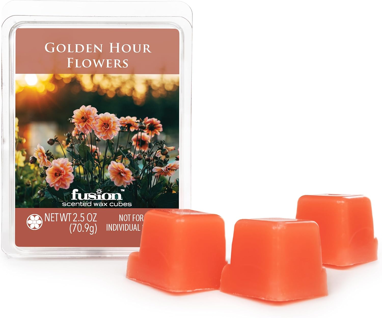 FUSION BY SCENTSATIONALS Adair Wax Melt Warmer Starter Kit