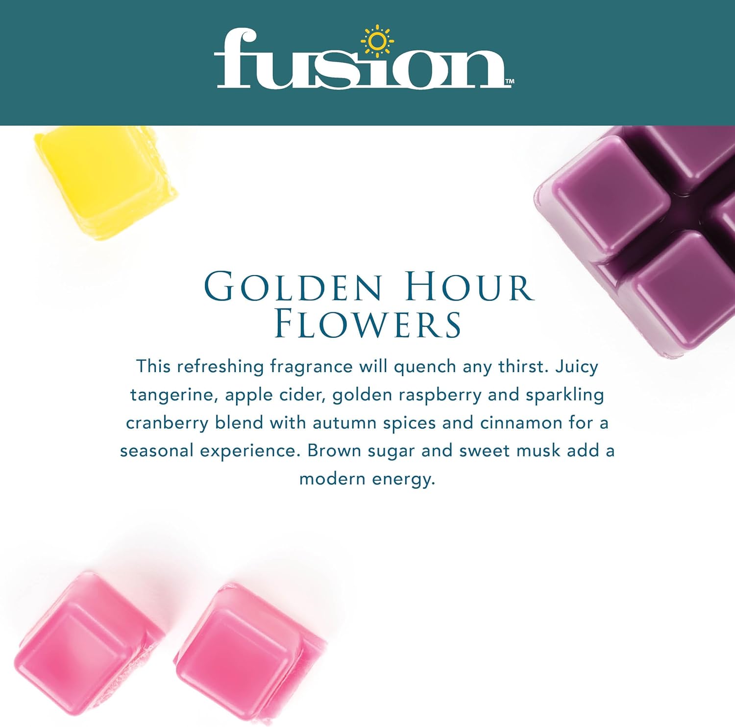 FUSION BY SCENTSATIONALS Adair Wax Melt Warmer Starter Kit