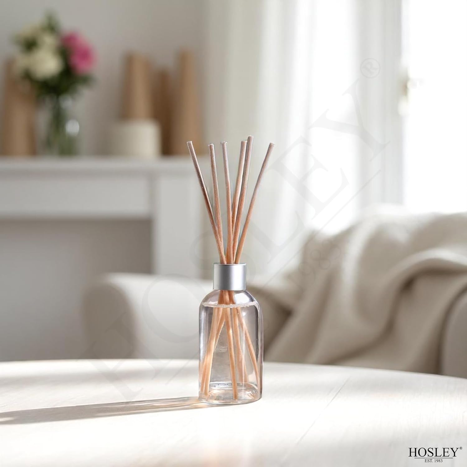 Hosley Cinnamon Roll Diffuser Refill Set of 2