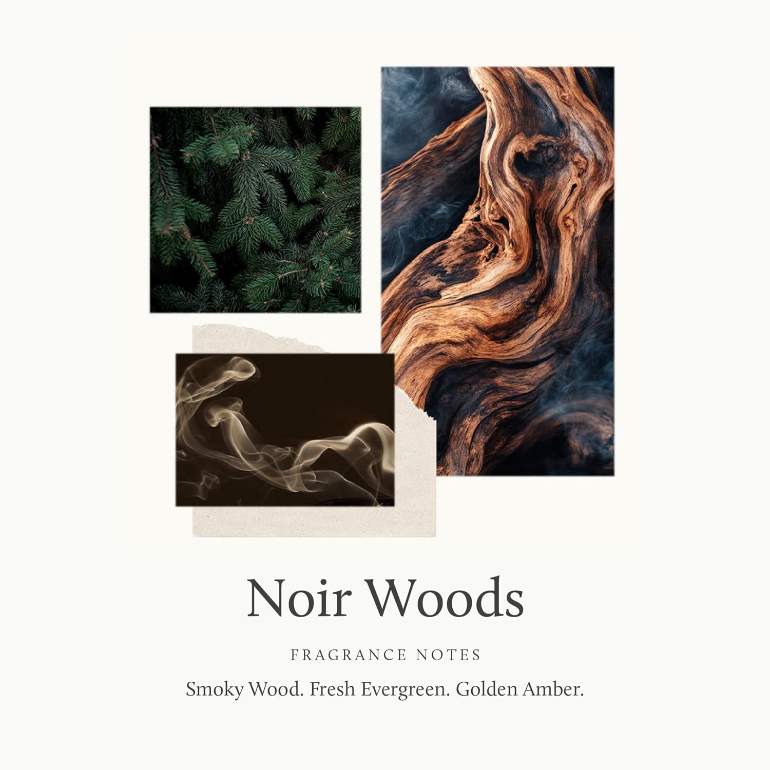 Thymes Pura Refills 2 Pack Noir Woods