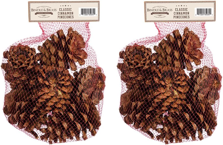 Cinnamon Scented Pinecone Bags 2 Pack
