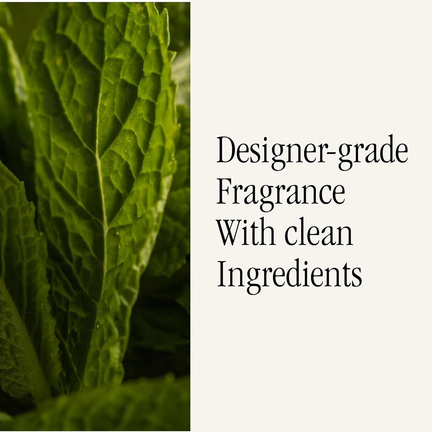 Pura Allos Mint Leaves Focus Fragrance Refill 2 Pack