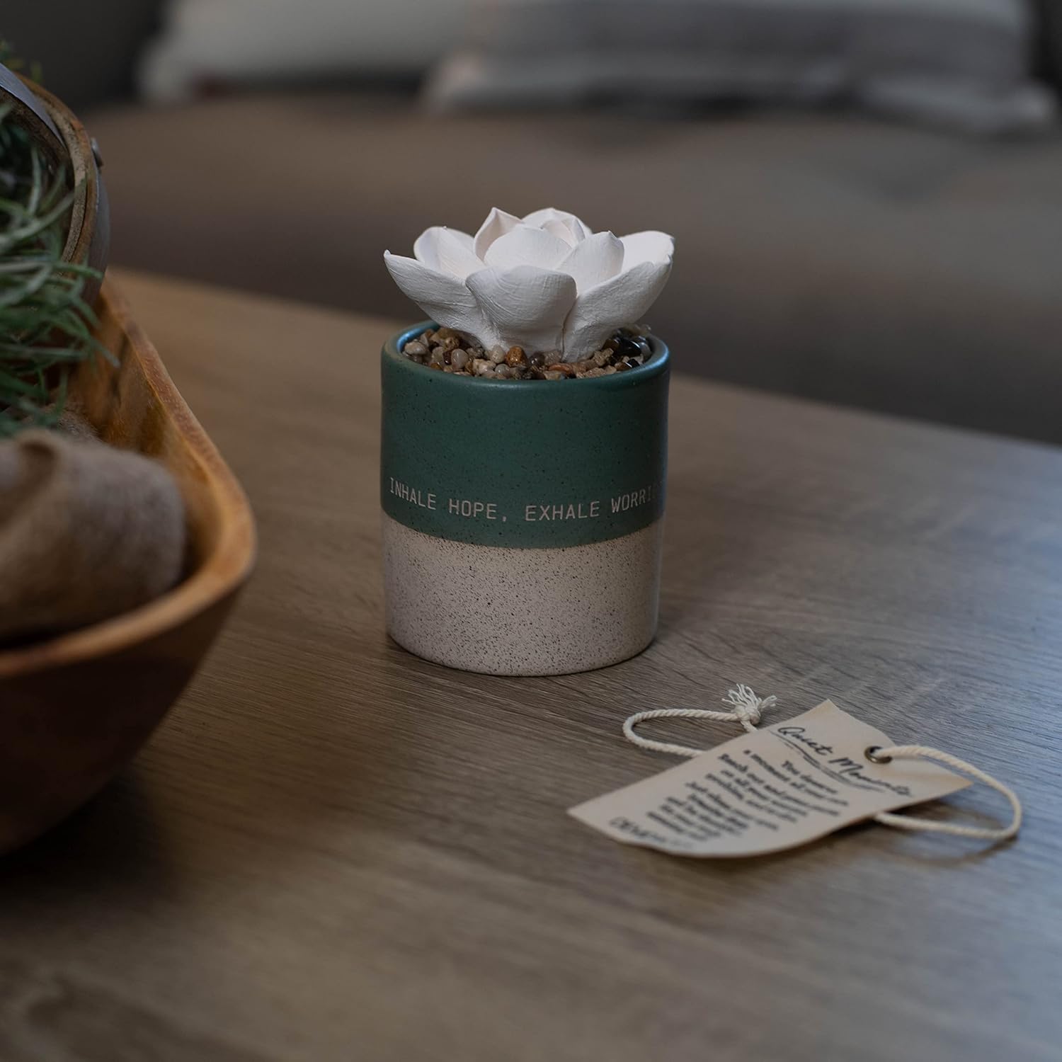Demdaco Inhale Hope Exhale Worries Succulent Oil Diffuser
