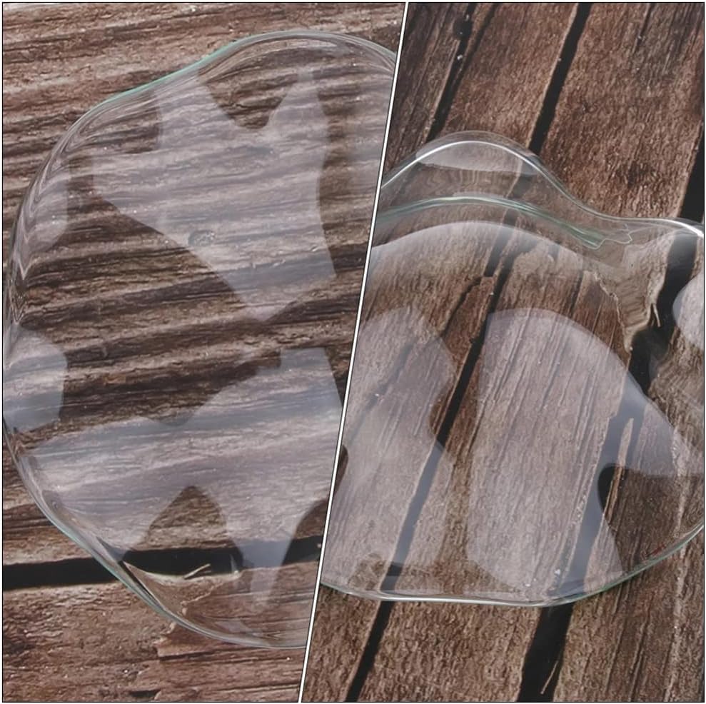 DOITOOL 2Pcs Replacement Glass Wax Melter Bowl for Fragrance Oil Warmer