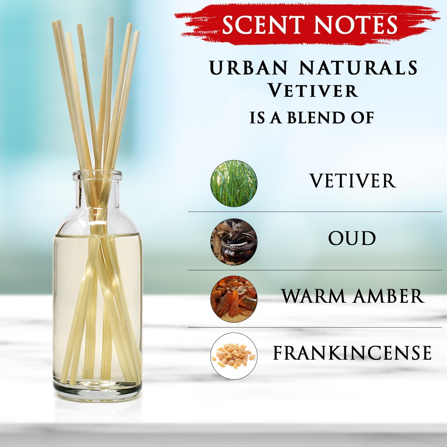 Urban Naturals Vetiver Reed Diffuser Set for Men