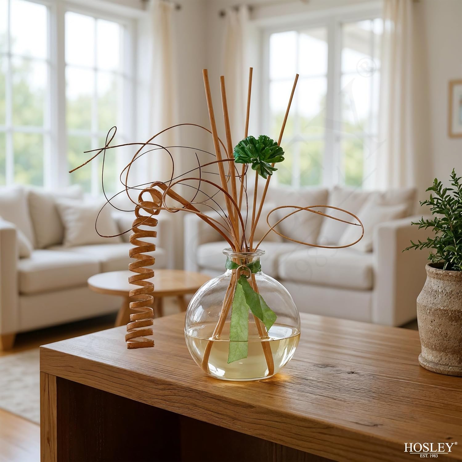 Hosley 4-Piece Glass Diffuser Set with Reeds