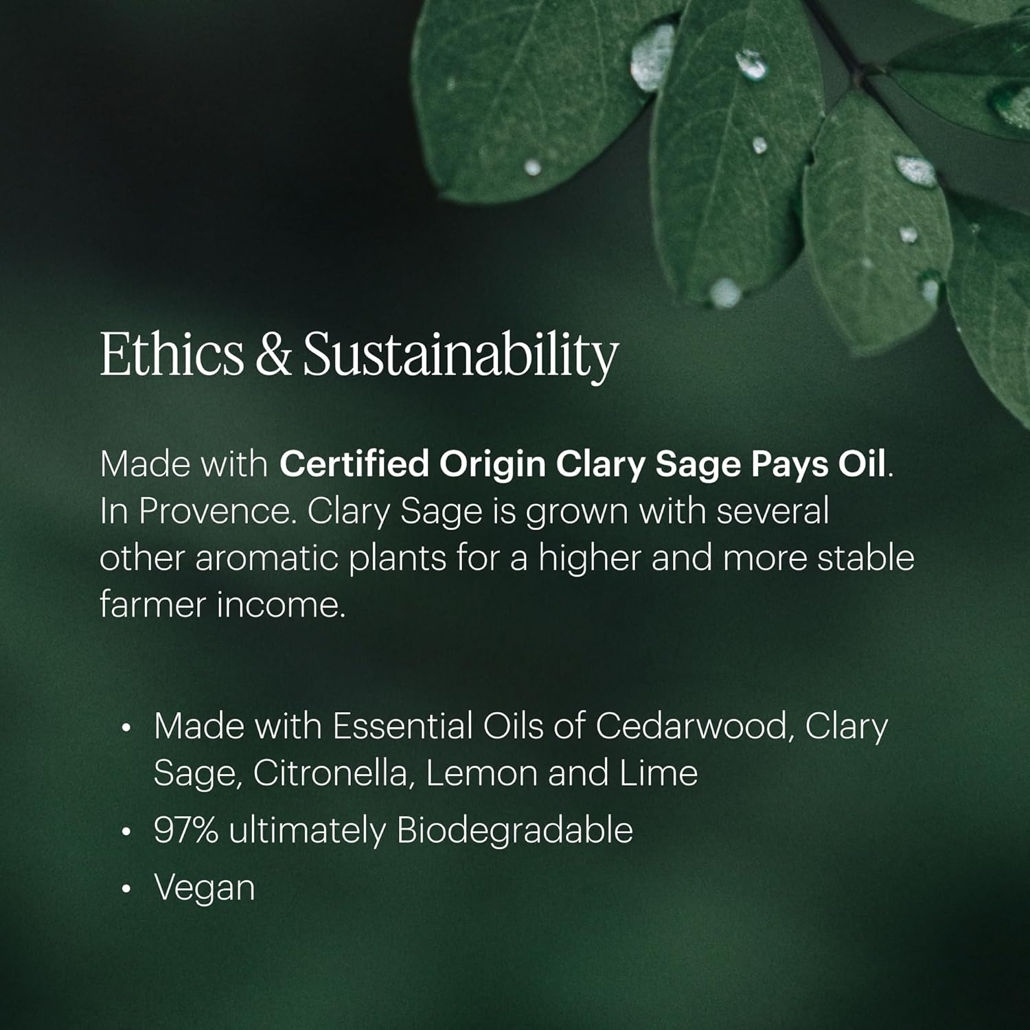 Aera Mini Home Hygiene Citrus Sage Fragrance