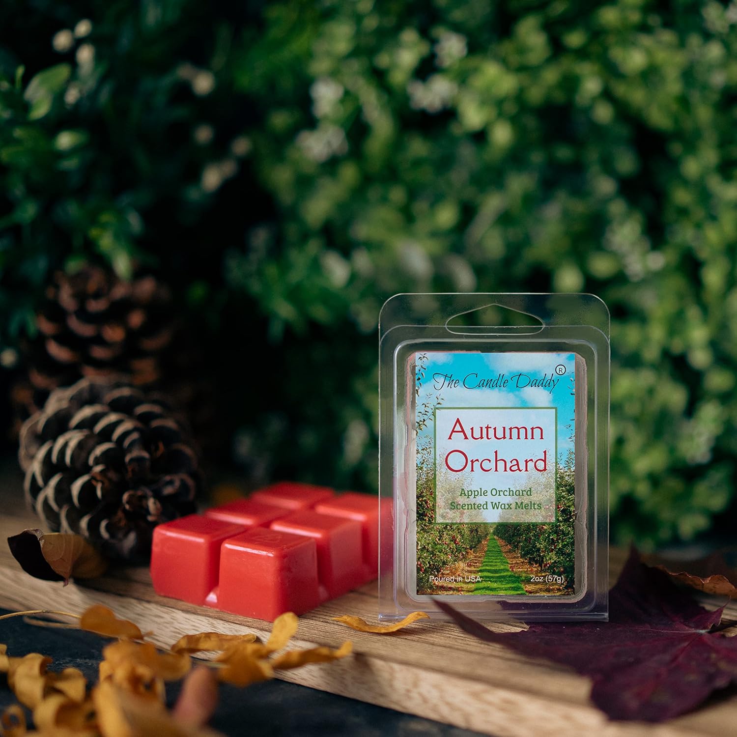 The Candle Daddy Autumn Orchard Wax Melt 6 Cubes