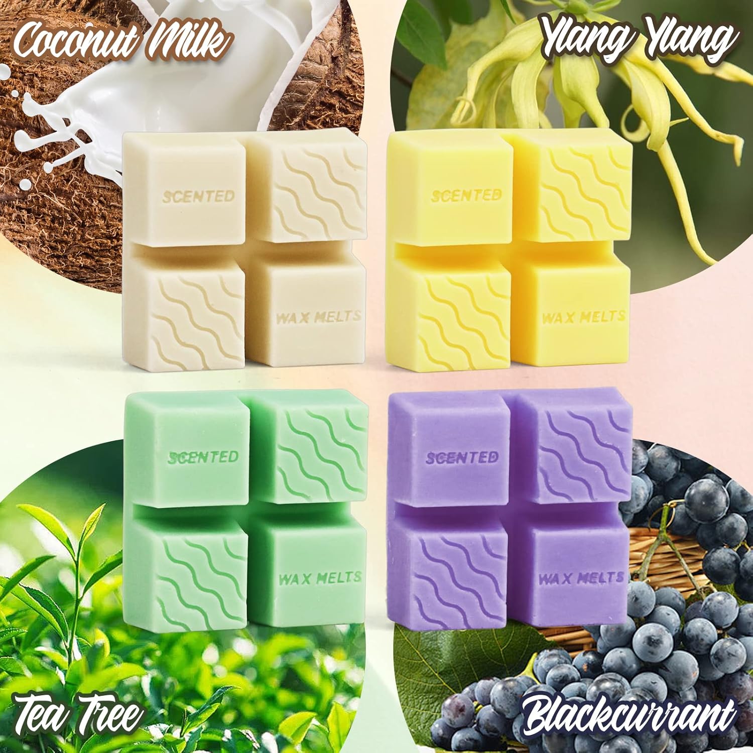 SENSHMAY Soy Wax Melts Gift Set 4 Scents