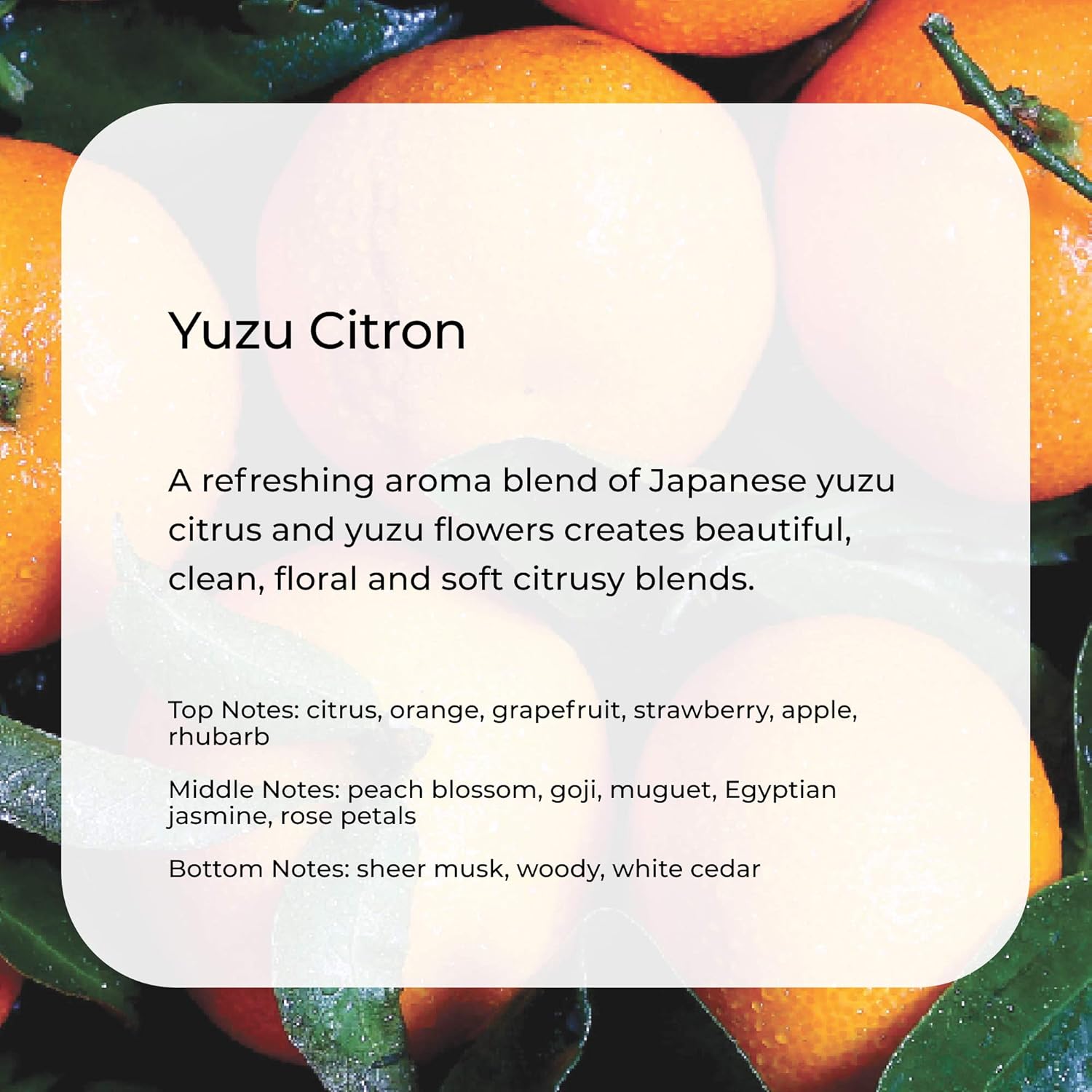 Pura Smart Home Replacement Fragrance Yuzu Citron