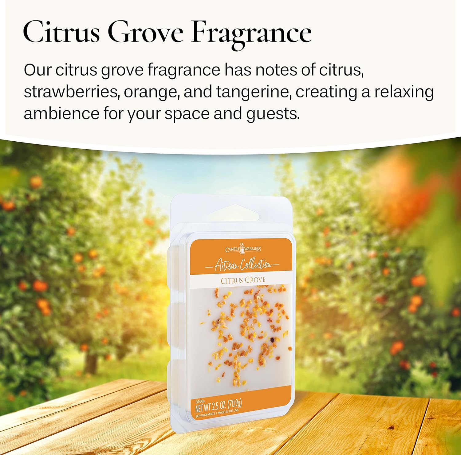 Citrus Grove Scented Candle Warmers 25oz 4-Pack
