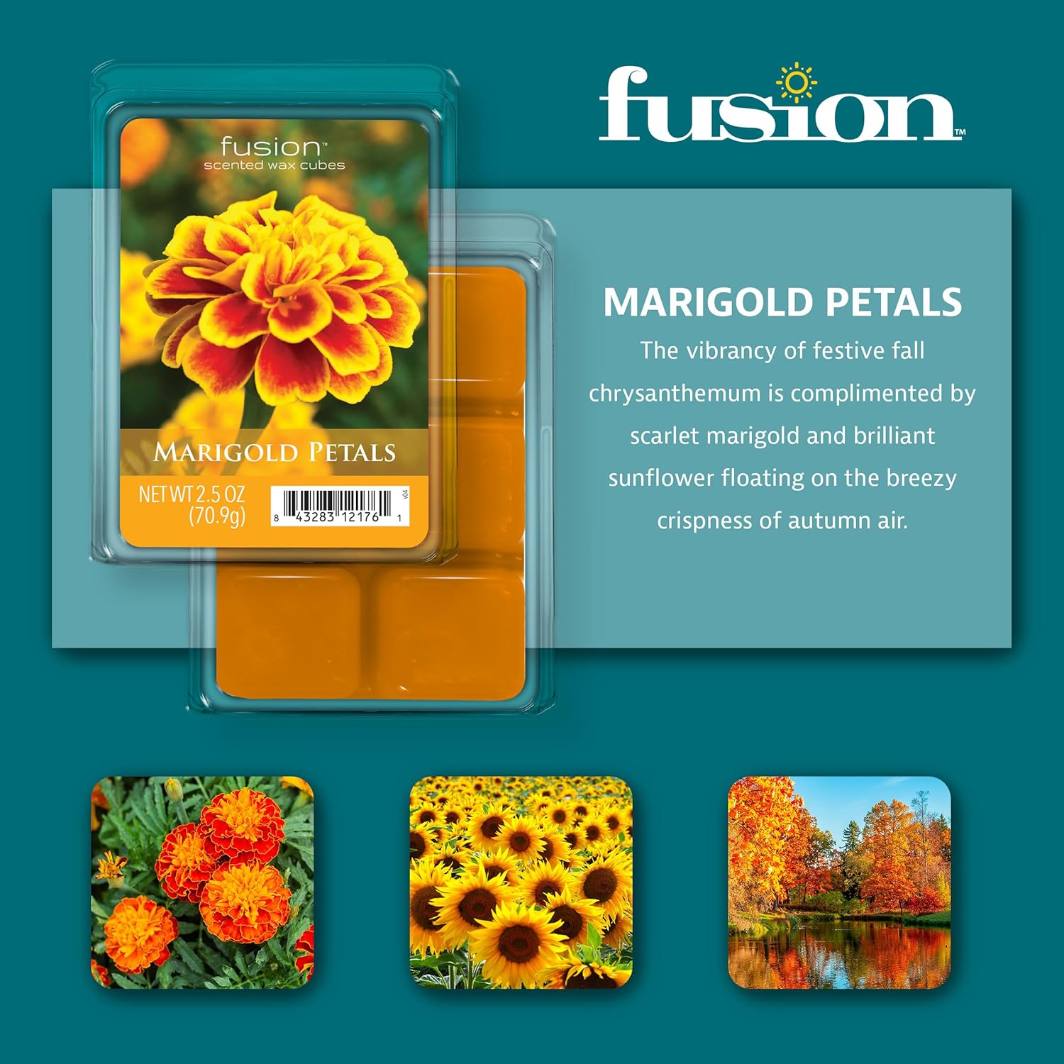 FUSION Scented Wax Melts - Marigold Petals 3-Pack