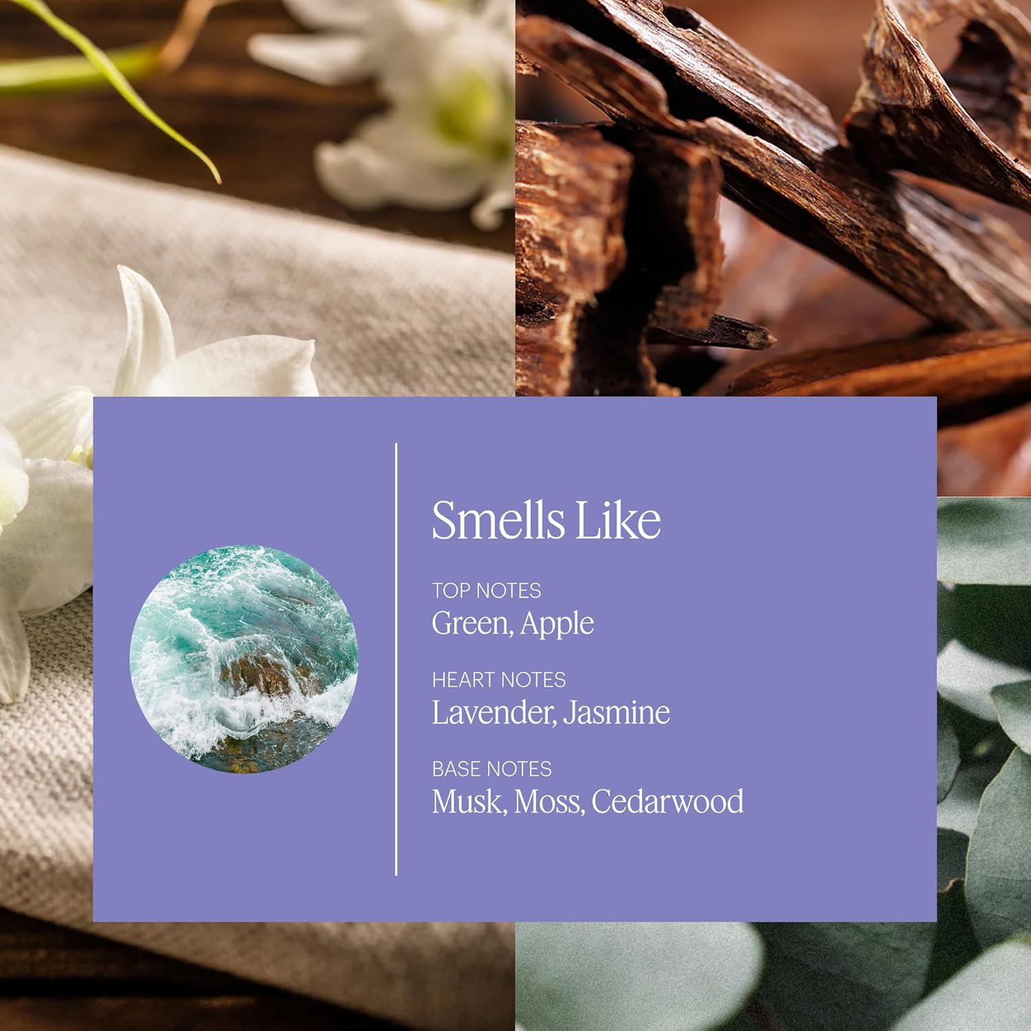 Aera Mini Soft Pants - Warm Vanilla Sandalwood Scent Refill