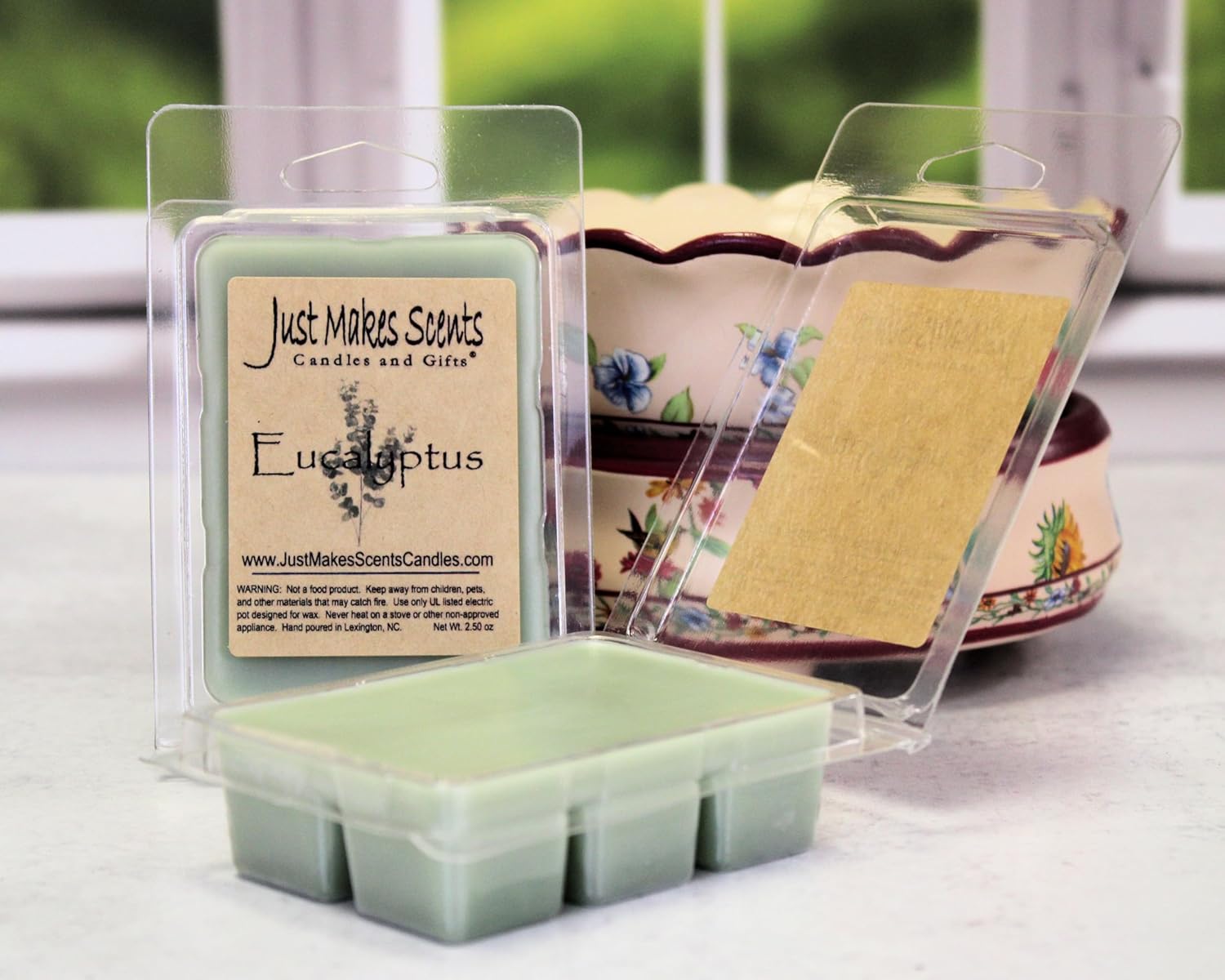 2 Pack Eucalyptus Soy Wax Melts Long Lasting Fragrance Cubes