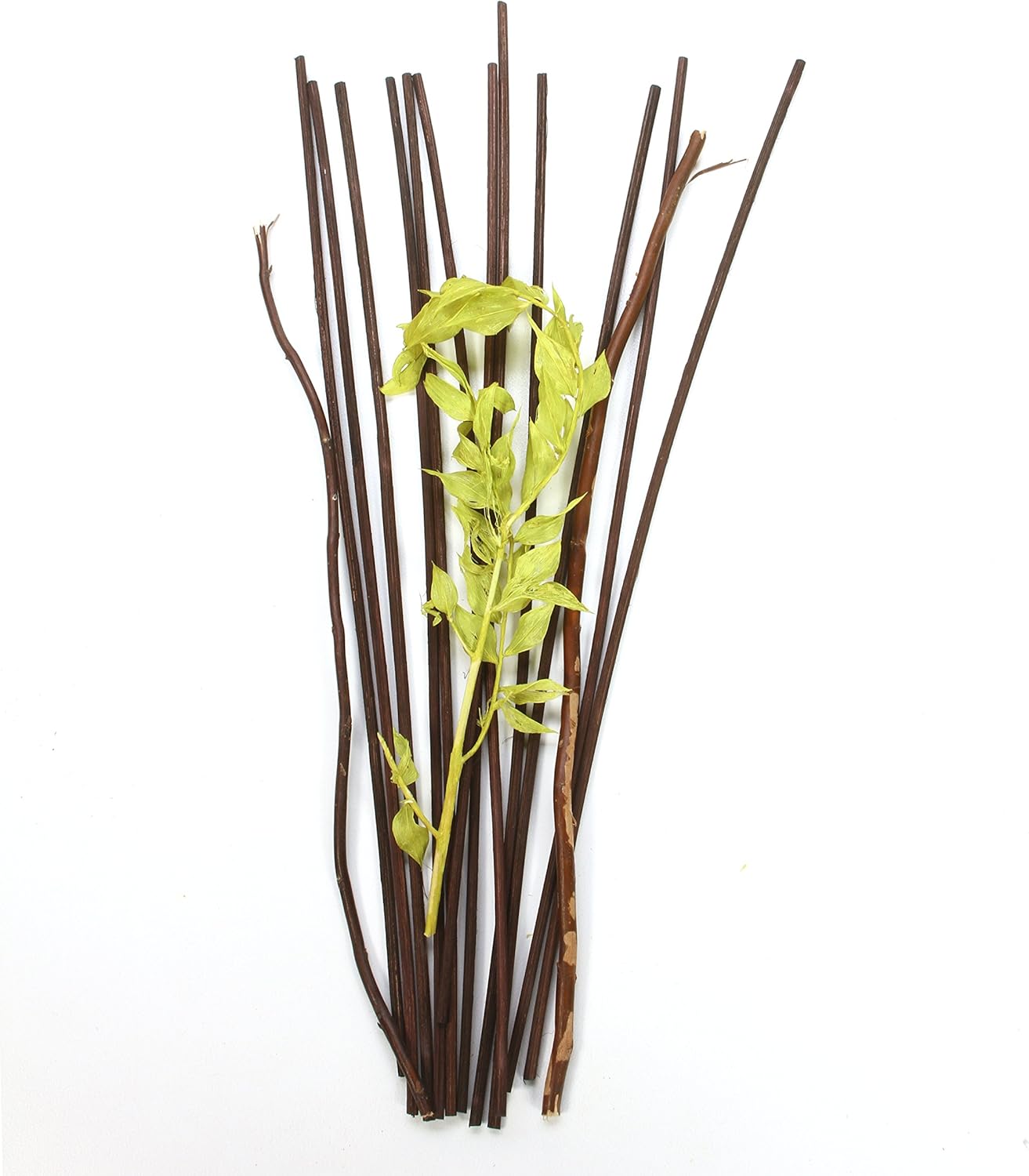 Hosleys 125 Botanical Diffuser Reeds - Green Brown