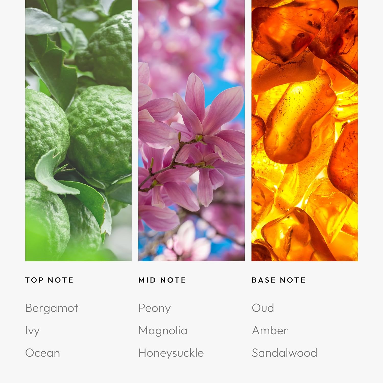 Aroma360 Hourglass Diffuser
