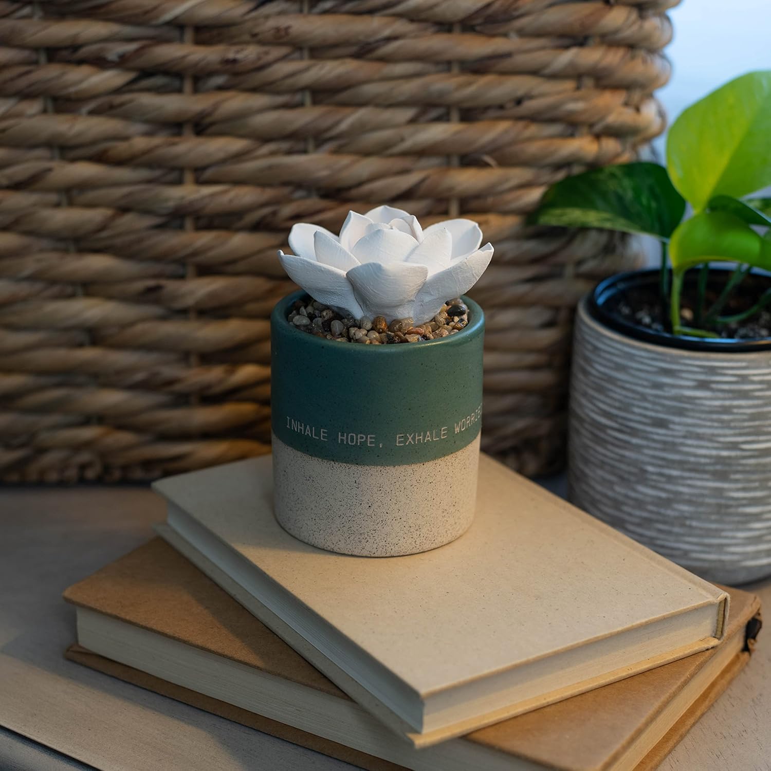 Demdaco Inhale Hope Exhale Worries Succulent Oil Diffuser