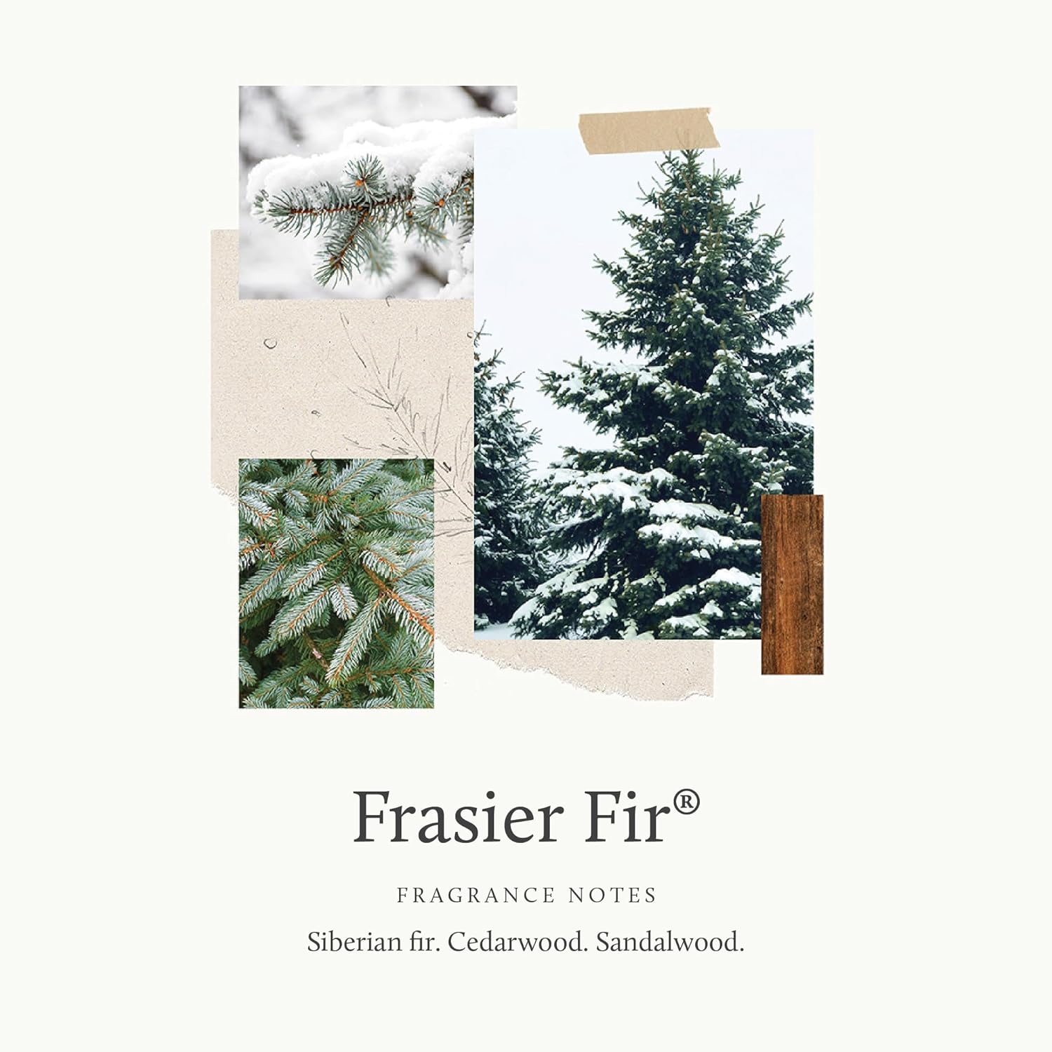 Thymes Pura Plus Smart Diffuser Kit with Frasier Fir Refills
